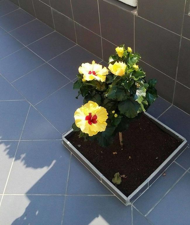 Villa Teo Kalamata Dış mekan fotoğraf